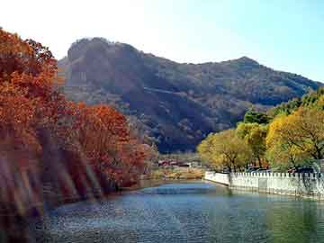 管家婆黑白马报图库，埃及大使馆认证